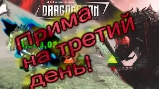 Прима на третий день!  Проект Dragonborn