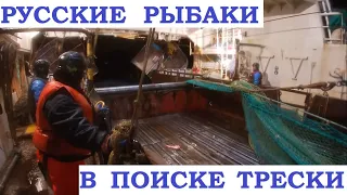 Выборка трала в неспокойном Баренцевом море полярной ночью / В поиске трески