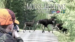 NH: Moose hunting in Finland | 2019