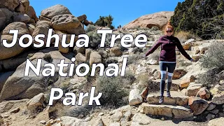 A Surprise Trip to Joshua Tree