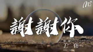 謝謝你 - 刀郎『謝謝你 你摟着我的傷痛抱着我受傷的心』【動態歌詞Lyrics】