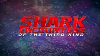 SHARK Encounters Of The Third Kind