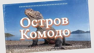 Путешествие. Остров Комодо. Индонезия. Komodo Island. [Путешествие]