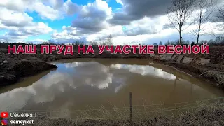 Наш пруд набрался водой. Проблемы с берегами пруда весной. Искусственный пруд на участке с рыбой и🦞