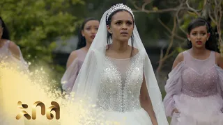 በሰርግ ቀን መራር ሀዘን – አደይ | ምዕራፍ 2 | ክፍል 56 - 60 | አቦል ቲቪ