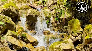 Sounds of a mountain stream. 3 hours of 4K video for relaxation, study, and sleep.