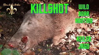 Wild Boar Killshot - Keiler Schiessen - Blaser R8