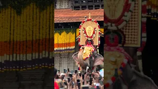 Thechikottukavu Ramachandran Entry Thrissur Pooram | King of Raman | Thrissur Pooram 2023