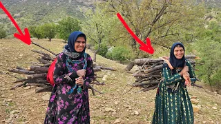 They smile and work: Akram and Fariba bring firewood from the mountain
