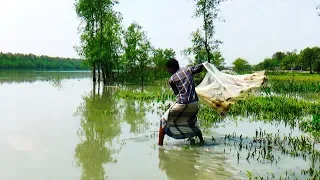 Cast Net Fishing at the River with beautiful natural | River Fishing by Daily Village Life (Part-02)