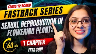 Sexual Reproduction in Flowering Plants | Fast Track Biology Revision | Class 12 Board Exam 2024