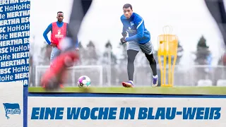 HaHoHe - Eine Woche in Blau-Weiß | 18. Spieltag | Hertha BSC vs. Werder Bremen