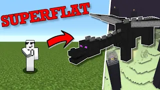 Can You Beat Minecraft in a SUPERFLAT WORLD?