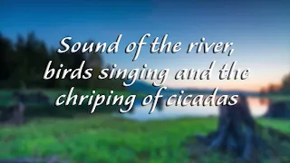 1 stunda relaksējošas upes skaņas Miega skaņas - Putnu dziedāšana un cicadas aplaupīšana