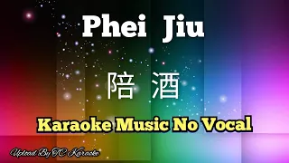 Phei Jiu 陪酒 karaoke no vocal