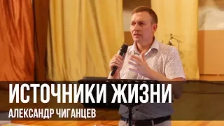 Источники жизни - Александр Чиганцев