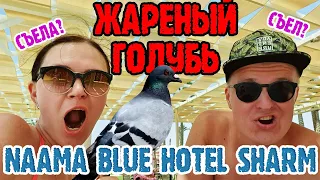 Naama Blue Hotel Sharm el sheikh - 2 серия. Стритфуд на Naama Bay. Дешевое кафе. СЪЕЛИ ГОЛУБЯ!