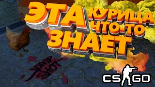 Counter-Strike: Global Offensive "Прохождение, Приколы, Смешные моменты"