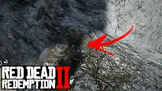 RED DEAD REDEMPTION 2 - Itens Únicos e Raros!?