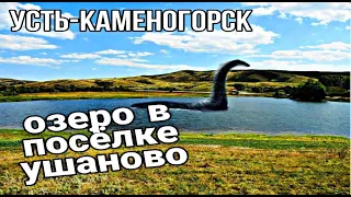 Усть-Каменогорск,Өскемен 🎥 Посёлок Ушаново озеро окрестности июль 2022