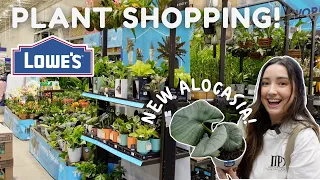 Lowe's Big Box Store Plant Shopping! Fully Stocked & New Plants!
