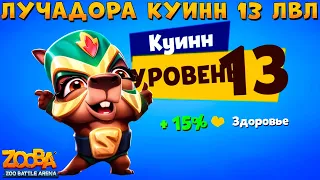 КАЧАЕМ ЛУЧАДОРУ КАПИБАРУ КУИНН НА 13 УРОВЕНЬ В ИГРЕ ZOOBA