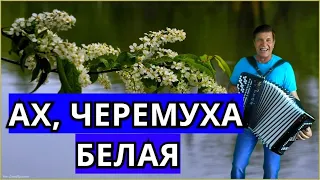 👍🔴 Будете Петь Весь День!!! 💦 "Ах, Черемуха Белая!!!" 💦"Сергей Анацкий👍 (пародия, кавер)