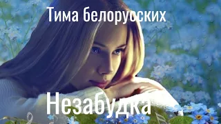 Тима белорусских - Незабудка