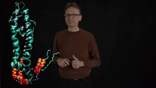 Concept 30: Lipids in membrane proteins from structures and simulations