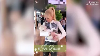 Nicole Kidman breaks the internet with video of her with a puppy