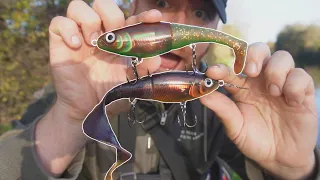 Which Bait Catches More On The Canal? Swimbait Vs Curly Tail!