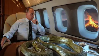 You won't believe how Vladimir Putin travels