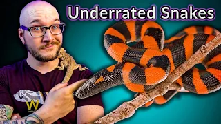 Top Five MOST Underrated Snakes That You Didn't Even Know Existed