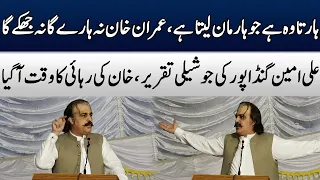 Imran Khan Popular Leader | CM KP Ali Amin Gandapur's Blasting Speech | TE2W