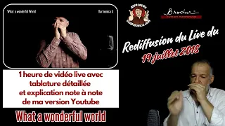 Cours ultra détaillé pour ''What a wonderful world'' - Harmonica G