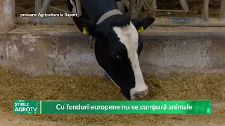 Cu fonduri europene nu se cumpară animale 14 02 2024