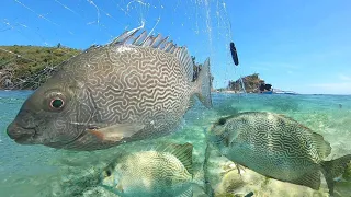 Jackpot! Napakaraming isda nahuli namin dito