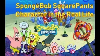 Spongebob Squarepants Main Character In Real Life