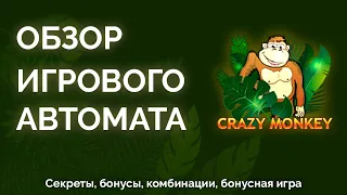 Обзор игрового автомата Crazy Monkey: секреты, бонусы, выигрышные стратегии