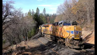 UNION PACIFIC The pines get a solid blast of hot diesel exhaust as the ZLTG2 approaches Casa Loma CA