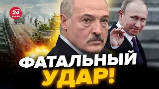 😱ЛУКАШЕНКО довел БЕЛАРУСЬ! СТРАШНАЯ цена за поддержку ВОЙНЫ/Что скрывает ПРОПАГАНДА?  ​@ZERKALOIO