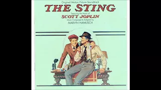 THE  STING