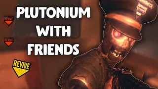 HOW TO PLAY BO2 PLUTONIUM WITH FRIENDS