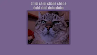 Chipi chipi chapa chapa dubi dubi daba daba (slowed + reverb & TikTok)