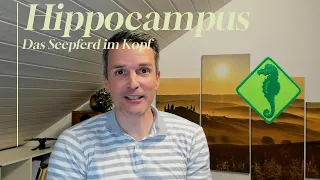 Hippocampus - der Bibliothekar im Kopf