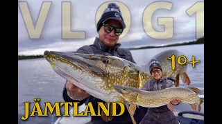 Höstfiske i kallt vatten-VLOG¹