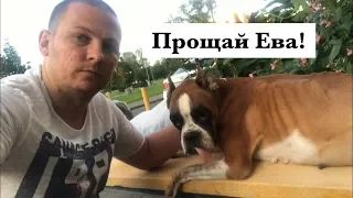 Прощай Ева Мы Тебя Не Забудем / Тайсон Приболел