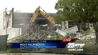 Bees swarm site of old Palm Beach Mall demolition