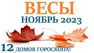 ВЕСЫ ♎ НОЯБРЬ 2023🚀 Прогноз на месяц таро расклад/ гороскоп/👍Все знаки зодиака! 12 домов гороскопа!