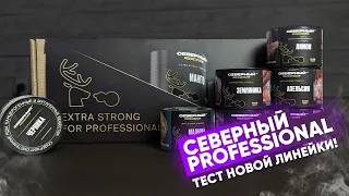 Северный Professional - тест новой линейки!